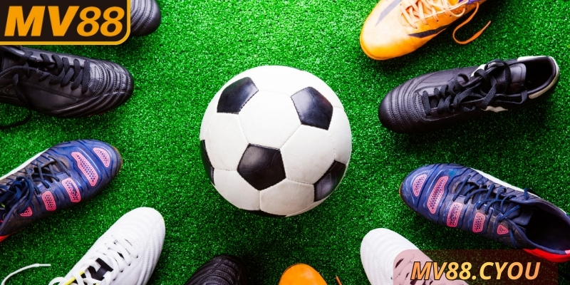 Có nhiều phân loại trong loại hình cược này