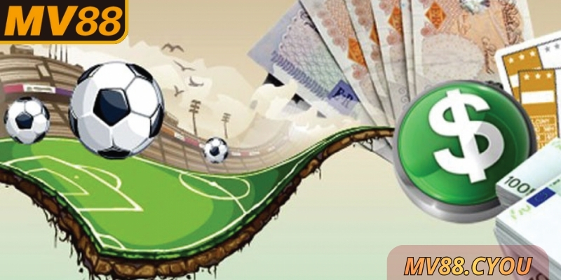 Những ưu điểm nổi bật từ loại hình này