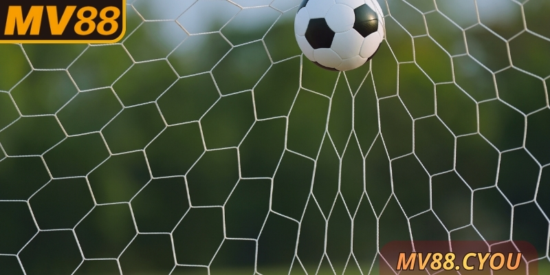 Nên kết hợp nhiều thông tin với nhau