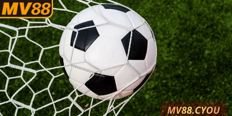 Có đa dạng loại hình cược tại nhà cái